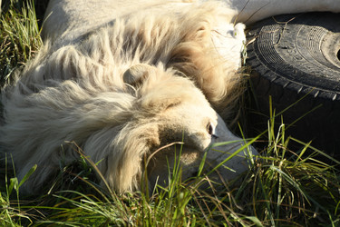 Similar image 21552000