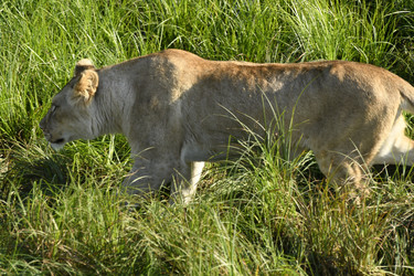 Similar image 21552001