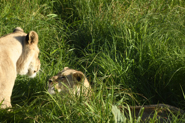 Similar image 21552002