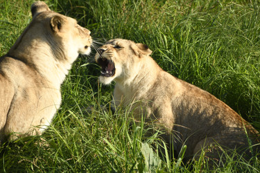 Similar image 21552003