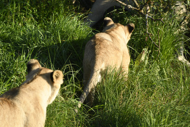 Similar image 21551005