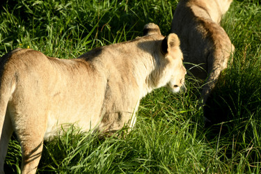 Similar image 21551006