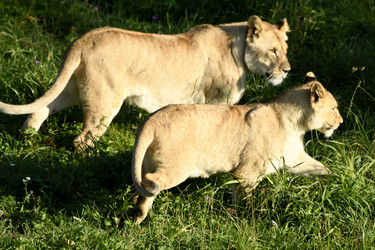 Similar image 21551007