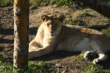 Similar image 21551008