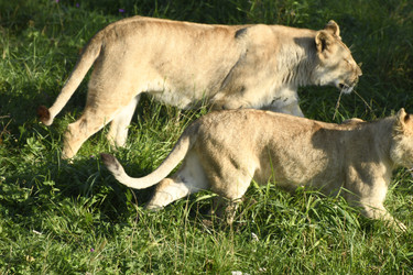 Similar image 21551009