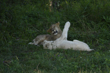 Similar image 21551011