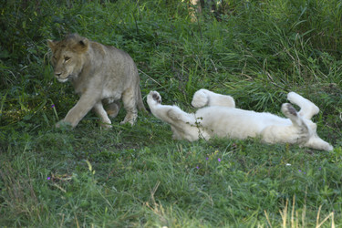 Similar image 21551012