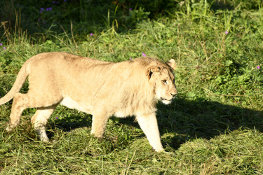 Similar image 21551014