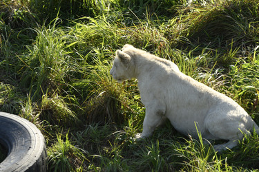 Similar image 21551015