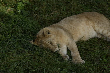 Similar image 21551017