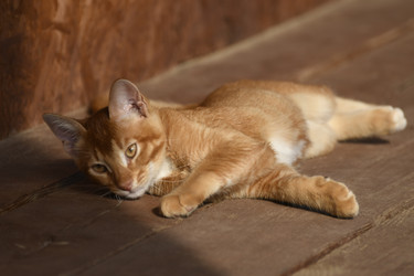 Similar image 21551772