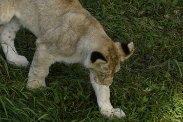 Similar image 21551019