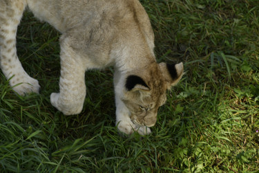 Similar image 21551020