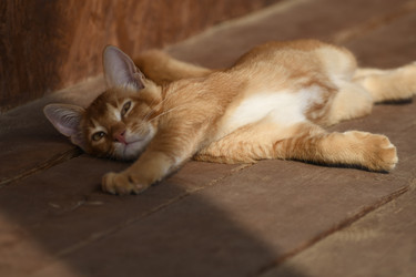 Similar image 21551774