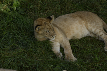 Similar image 21551775