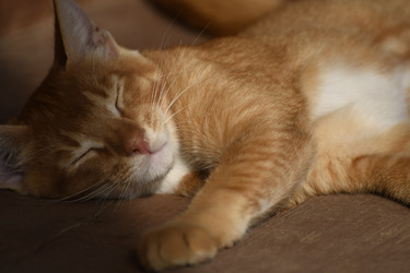 Similar image 21551776