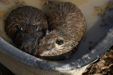 Similar image 21551777