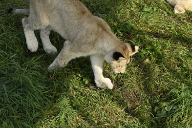 Similar image 21551778