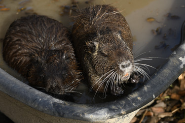 Similar image 21551779