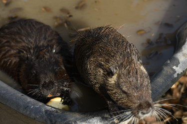 Similar image 21551780