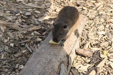 Similar image 21552004