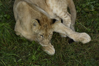 Similar image 21551023