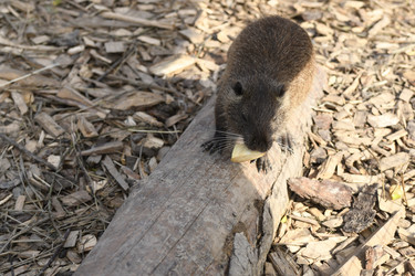 Similar image 21552005