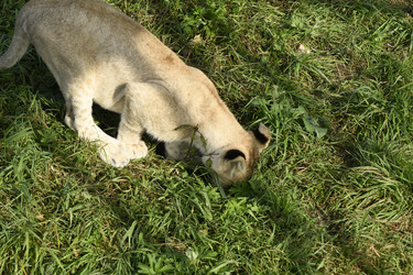 Similar image 21551024