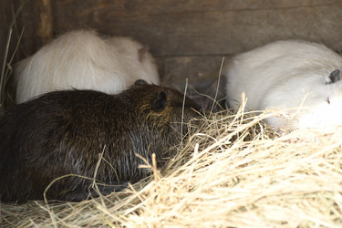 Similar image 21552006