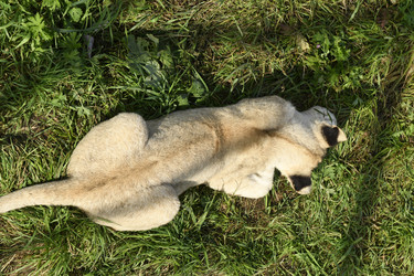 Similar image 21551025