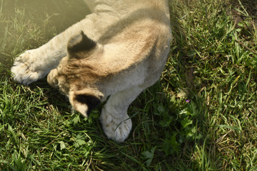 Similar image 21551026