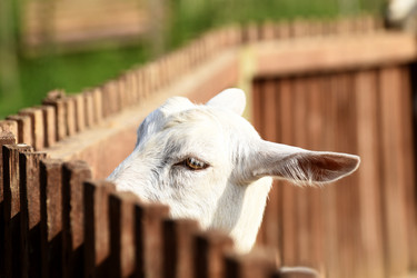 Similar image 21552008