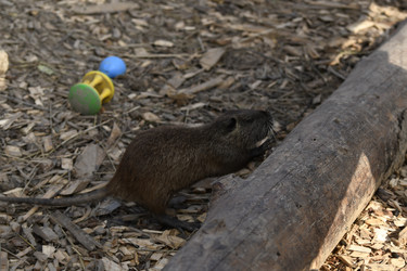 Similar image 21552009