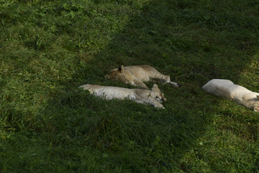 Similar image 21552010