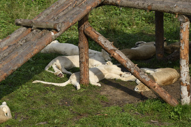 Similar image 21552011