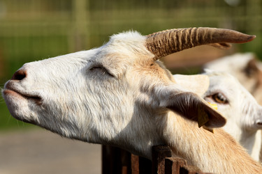 Similar image 21552012