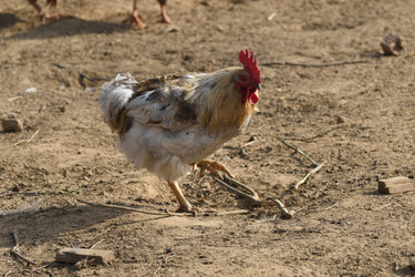 Similar image 21552014