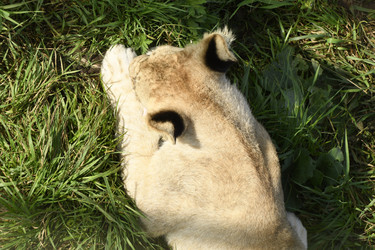 Similar image 21551027