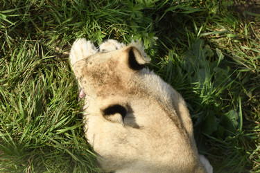 Similar image 21551028