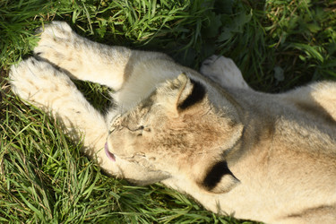 Similar image 21551029