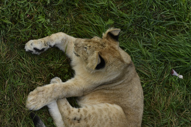 Similar image 21551030