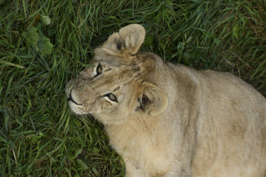 Similar image 21551031