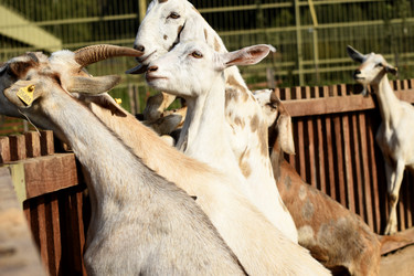 Similar image 21552023