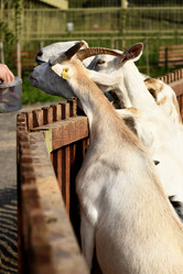 Similar image 21552024