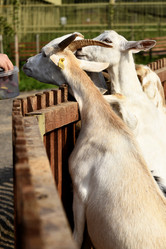 Similar image 21552025