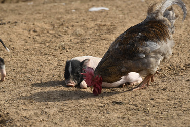 Similar image 21552026