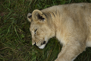 Similar image 21551033