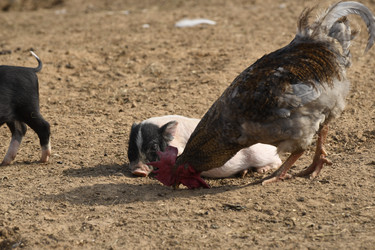 Similar image 21552027