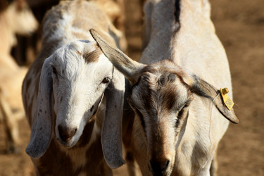 Similar image 21552029