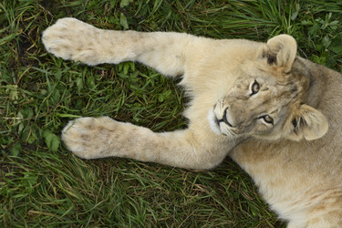 Similar image 21551034